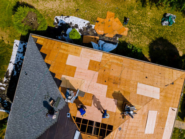 Best Roofing Contractor Near Me  in Cordele, GA
