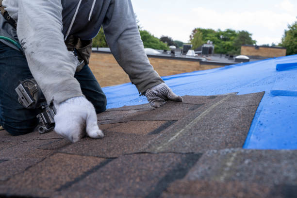 Best Roof Maintenance Services  in Cordele, GA