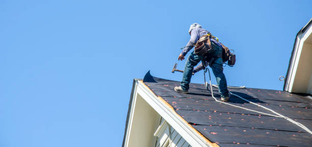 Best Metal Roofing Contractor  in Cordele, GA